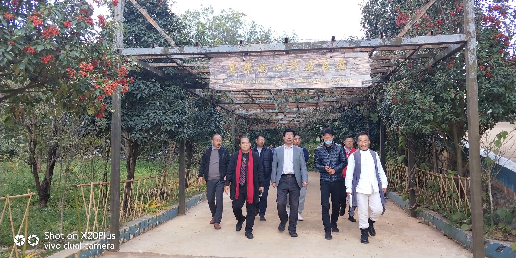 花厅长哈尼王长和各